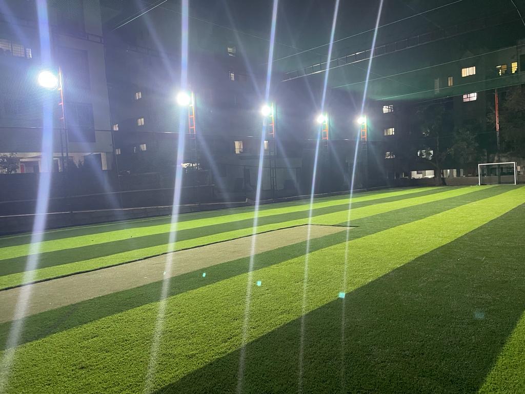 Cricket Turf